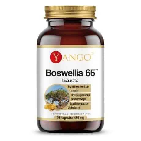 Yango - YANGO Boswellia 65, 90 kapslar | Vitaminer och MineralerHälsa och välbefinnandeÖrter och växtbaserade preparat | Apoteka