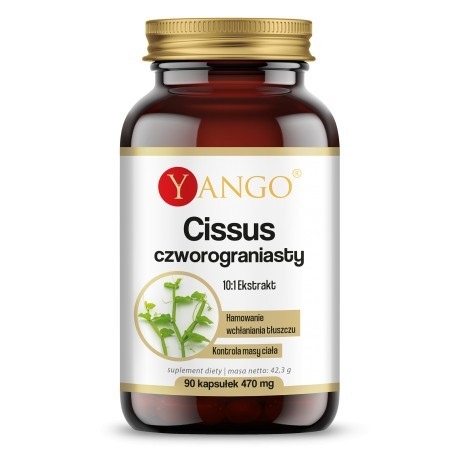 Yango - Cissus Quadrangularis, 90 kapslar | Vitaminer och MineralerHälsa och välbefinnandeÖrttillskottÖrter och växtbaserade preparat | Apoteka