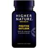 positive udsigter - 90 kapsler